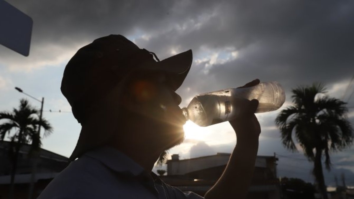 El intenso sol cae sobre Guayaquil, donde la falta de árboles convierte cada caminata en un desafío bajo temperaturas que superan los 40 °C de sensación térmica.