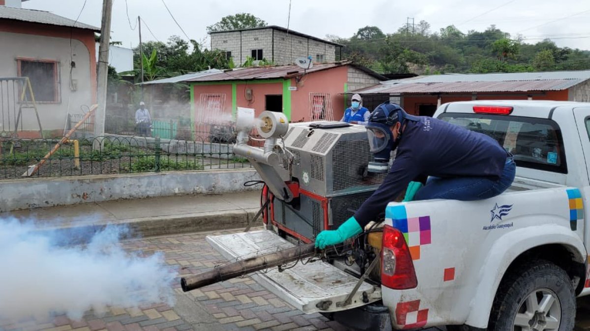 Norte y noroeste concentran los casos en un contexto de condiciones ambientales favorables para el mosquito.
