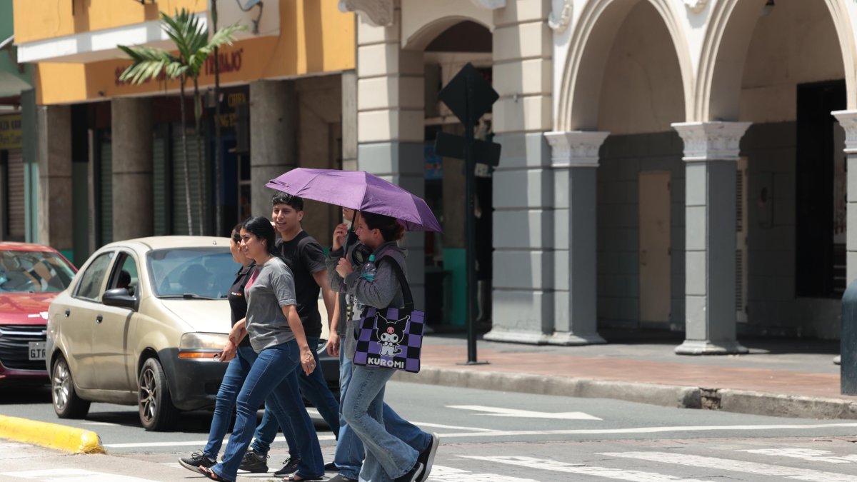 Calor extremo en Guayaquil: ciudadanos se protegen de los rayos solares directos.