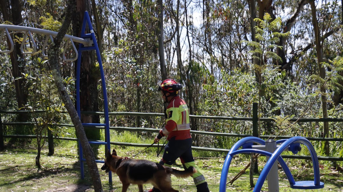 Canes de la unidad de Bomberos de Quito también  rastrean la zona.
