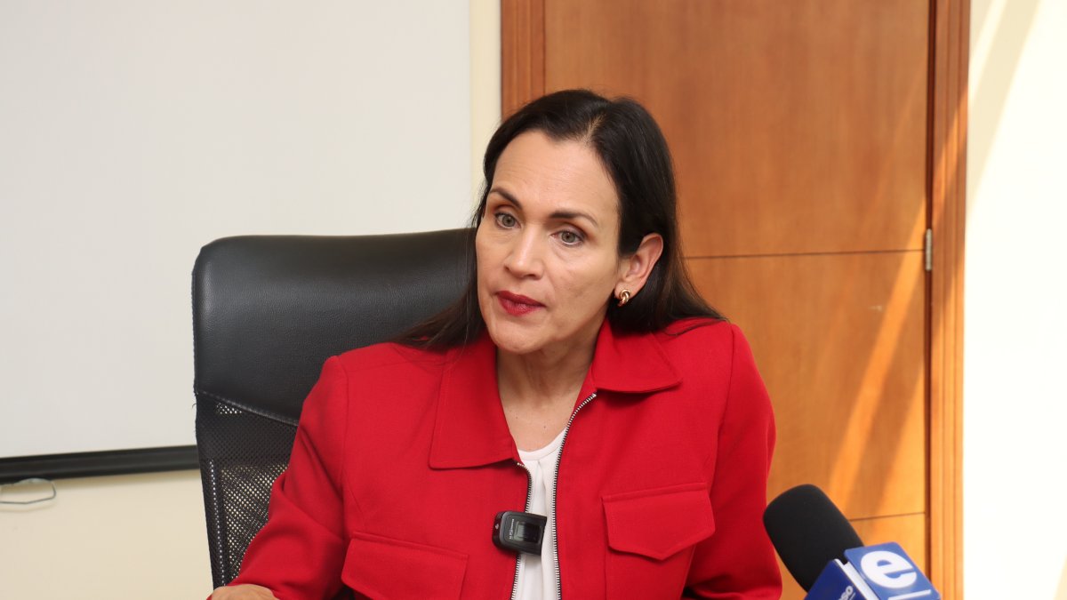 La ministra habló sobre los cortes de energía en plena ola de calor.