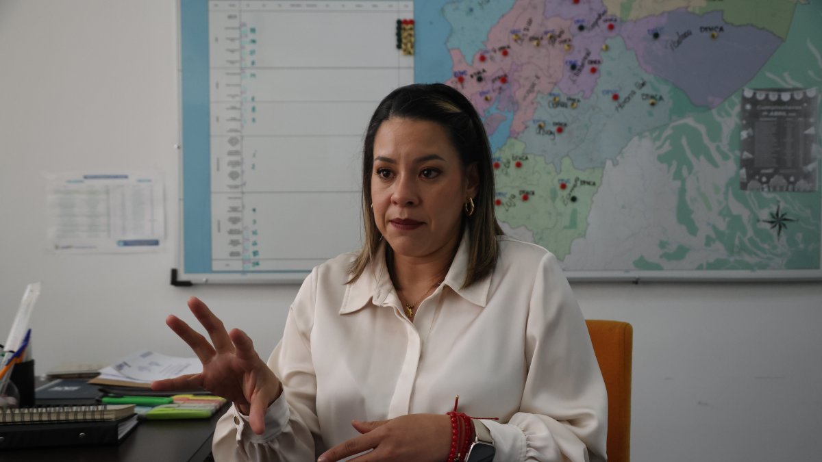 Paola Aguirre dirige la Acess desde 2024.