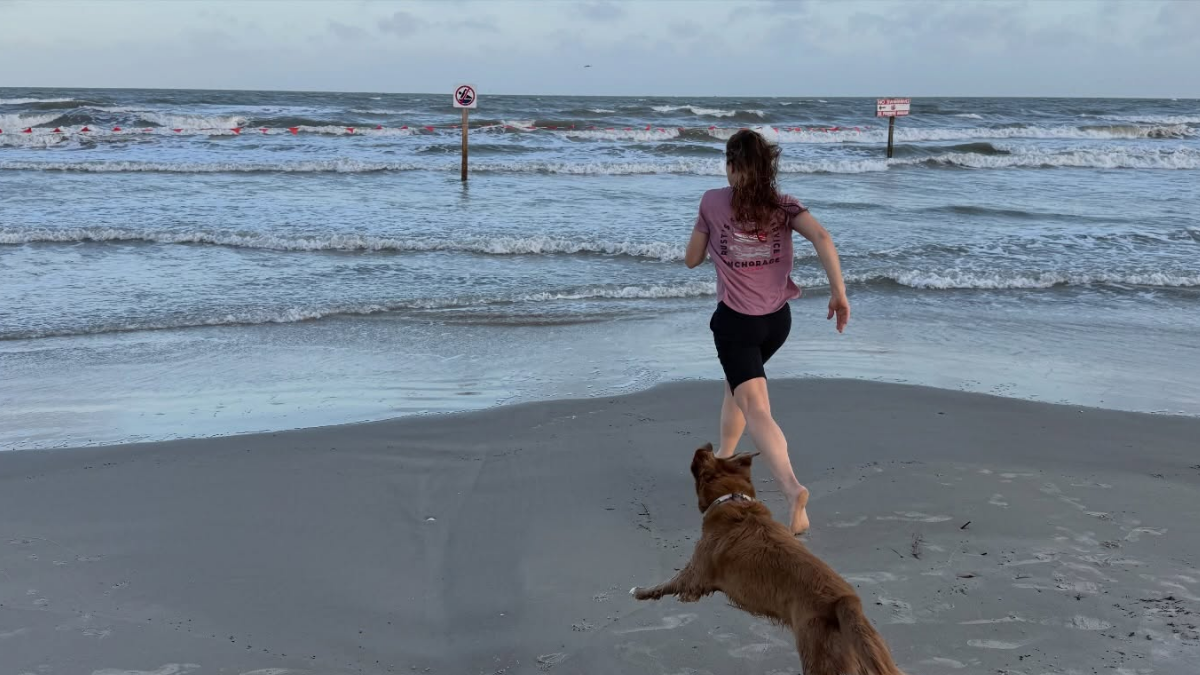 Perro de la astronauta Christina Koch estalla de emoción por rencuentro después de la misión lunar