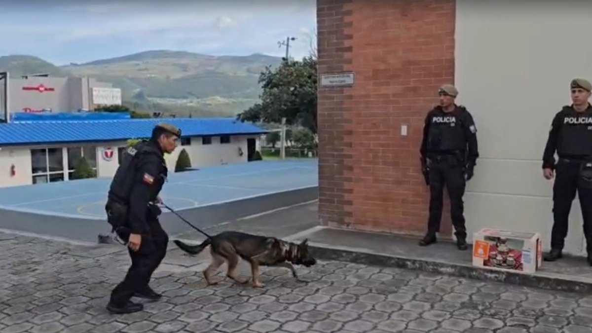 El perro amaestrado ha participado en varios operativos.