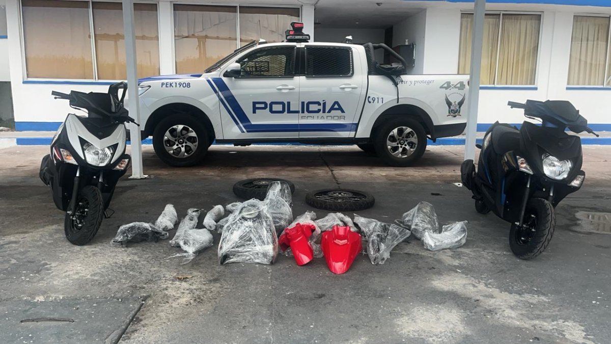 Decomiso en Galápagos durante operativo policial: estos son los delitos más frecuentes en las islas