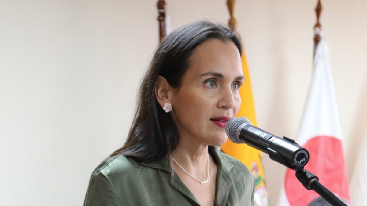 La ministra de Energía y Minas Inés Manzano se pronunció en sus redes sociales.