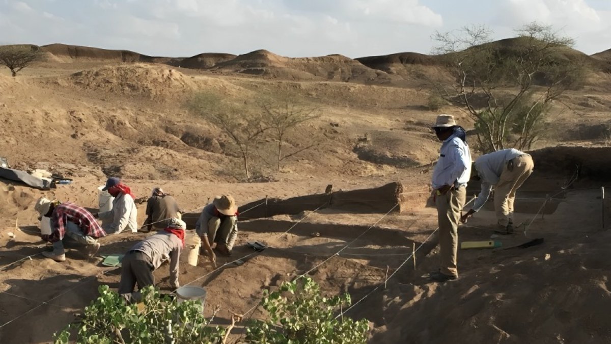 El equipo internacional analizó restos en Etiopía, una zona clave para entender la evolución humana.
