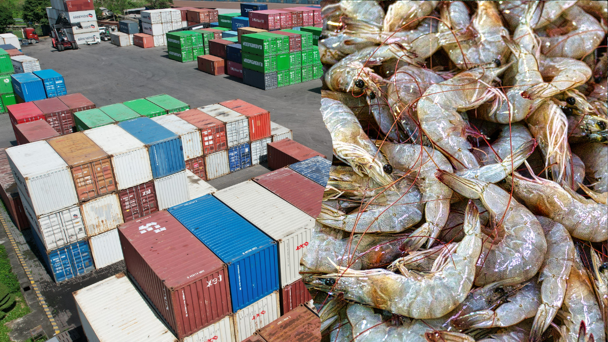 La detección del Covert Mortality Nodavirus en envíos de camarón desde China genera preocupación mundial, aunque expertos señalan que el consumo sigue siendo seguro si se cocina adecuadamente