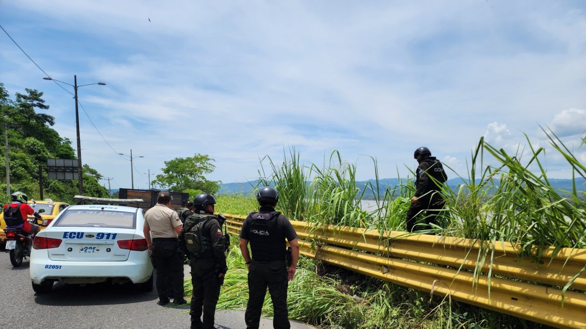 Los restos fueron encontrados entre unos matorrales.