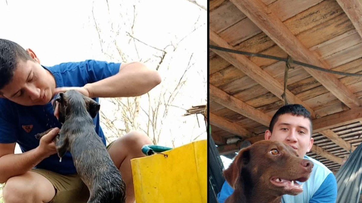 Anthony Bravo, un joven manabita que sueña construir un refugio a los animales abandonados en calle