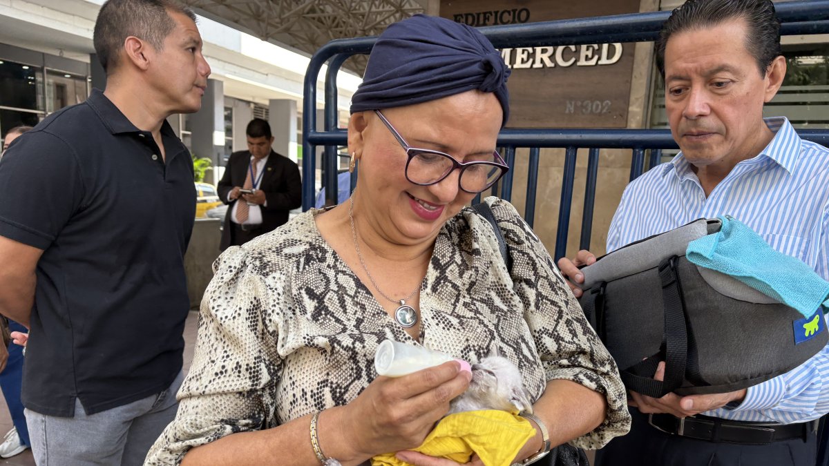 Delia Muñoz alimentaba con leche a su gatito de un mes, Félix Moisés, mientras esperaba en los exteriores de la Fiscalía, el 6 de abril.