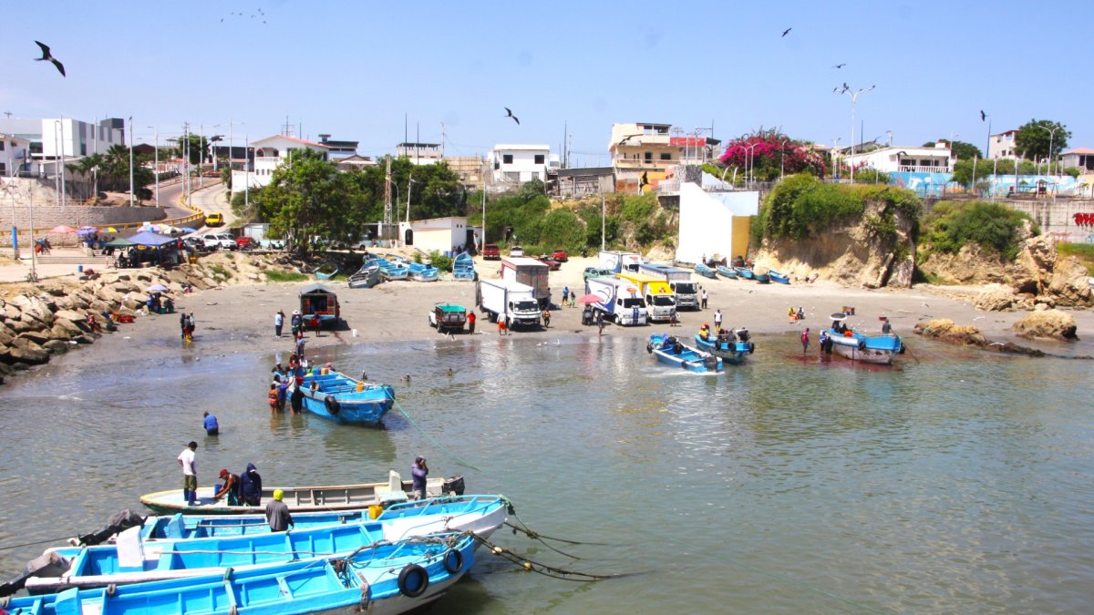 La actividad pesquera ha disminuido en el puerto del cantón  La Libertad.