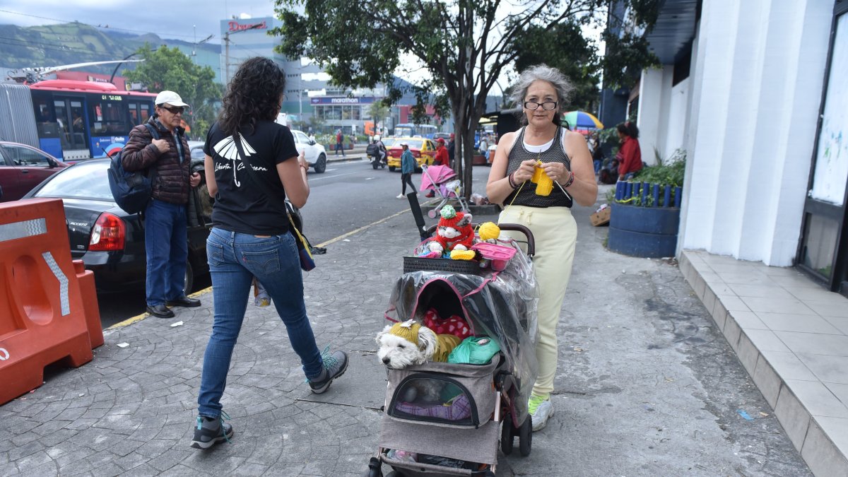 Parte de su exhibición también es un gato de peluche.