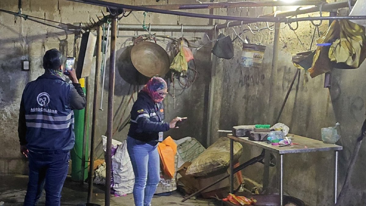 Los sitios funcionaban en condiciones insalubres.