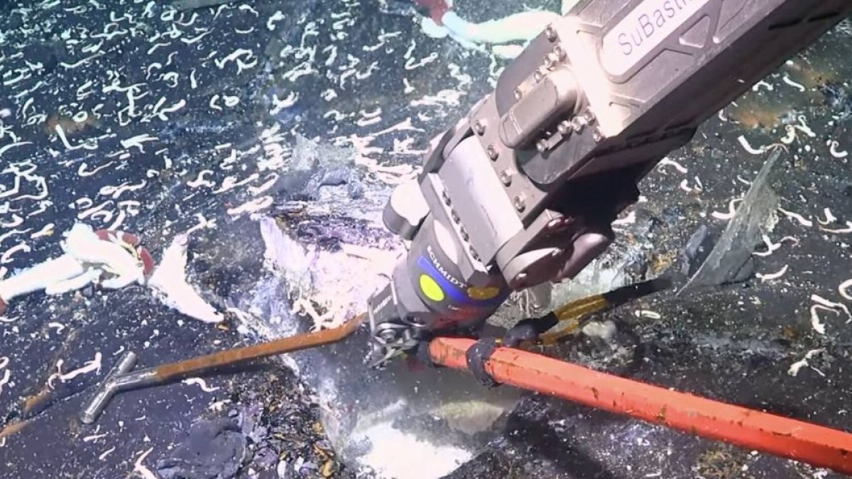 El descubrimiento fue publicado recientemente en la revista Nature Communications