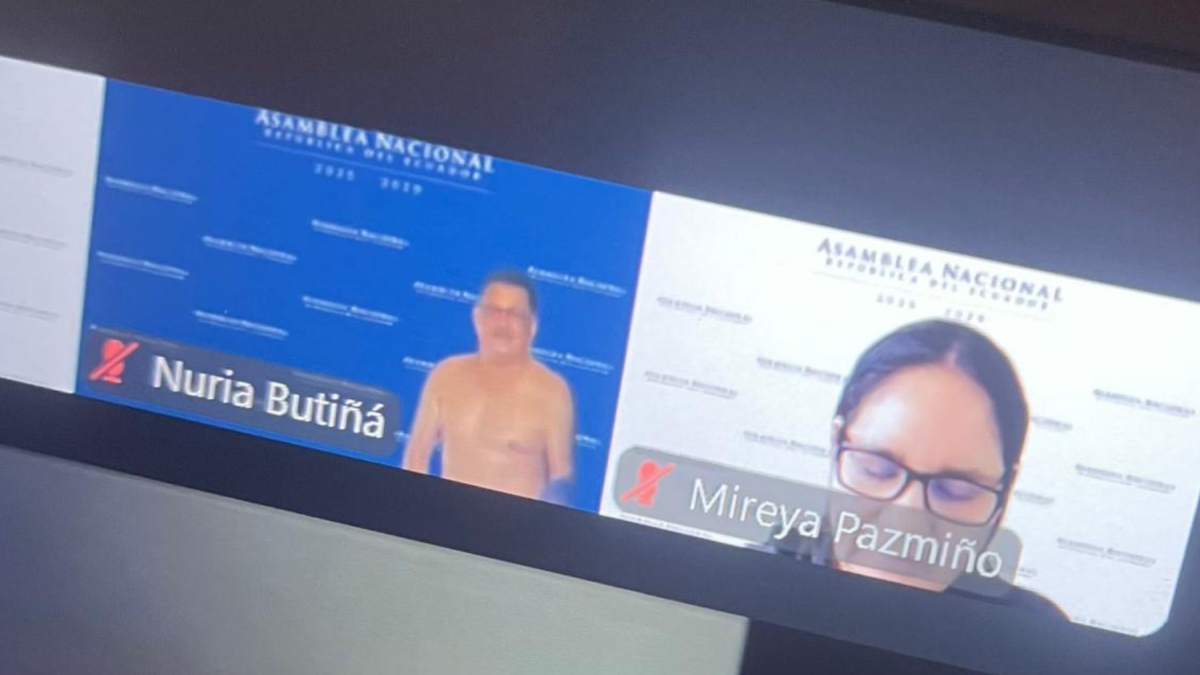 Imagen difundida en redes muestra incidente durante sesión virtual de la Asamblea Nacional.