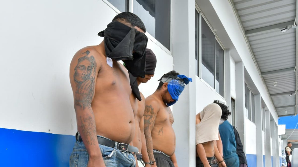 Operativo Apolo 20 en Guayas: Cayeron implicados en crimen de transportista de camarón
