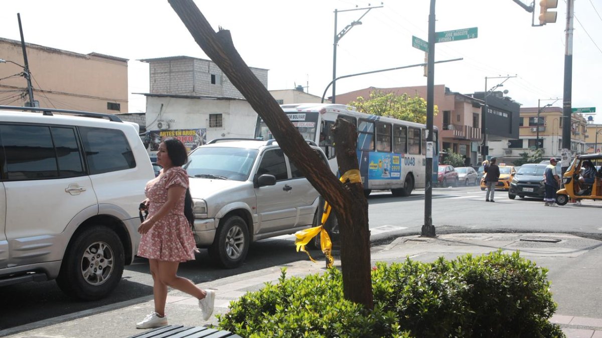 Ataque contra pareja que circulaba en vehículo en Guayaquil: ¿cuál habría sido la motivación?