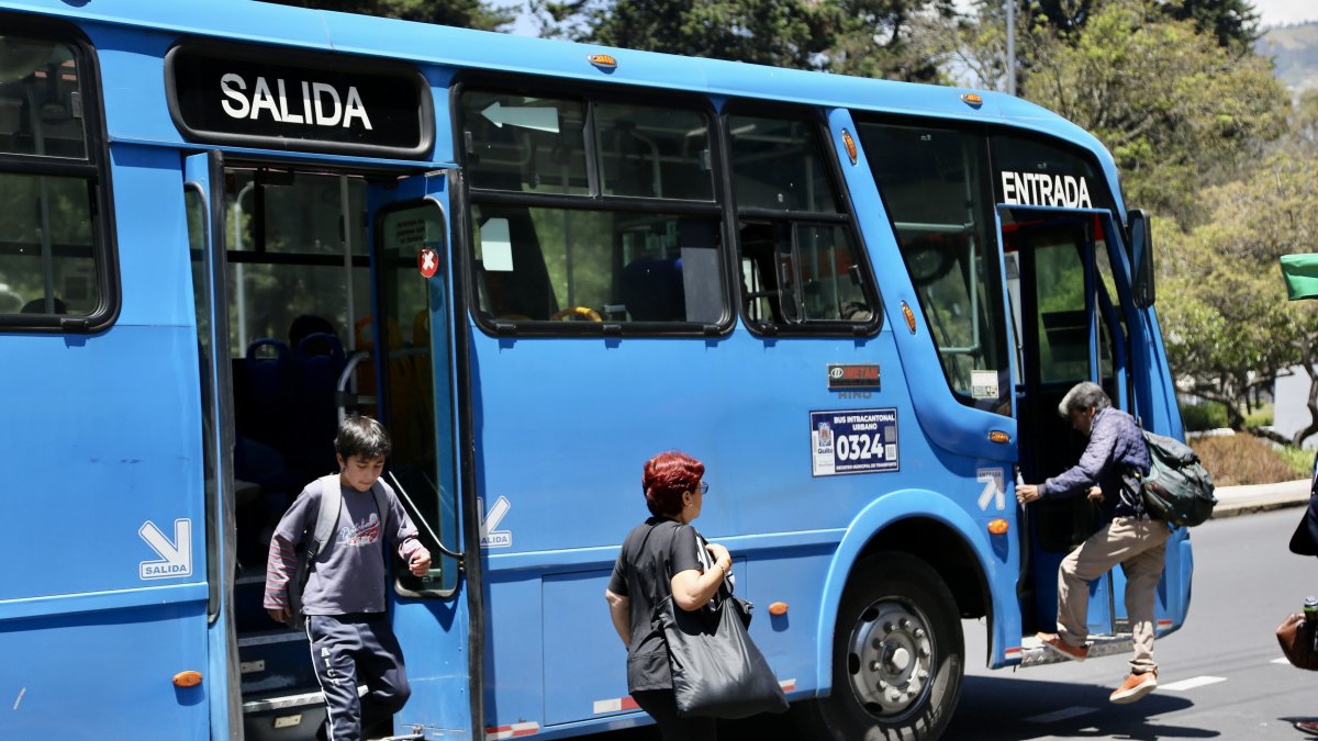 Reducción de frecuencias de buses en Quito: Municipio se pronuncia ¿Qué medidas tomará?