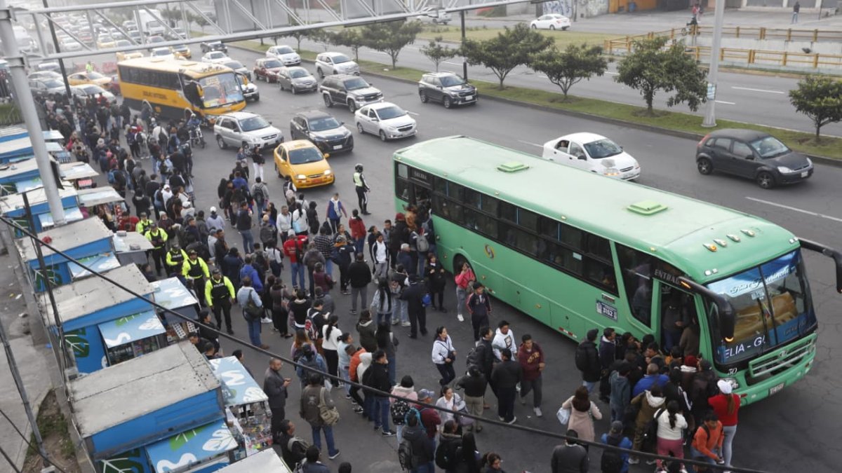 Crisis de buses en Quito: Caos, demoras e inconformidad de usuarios ...