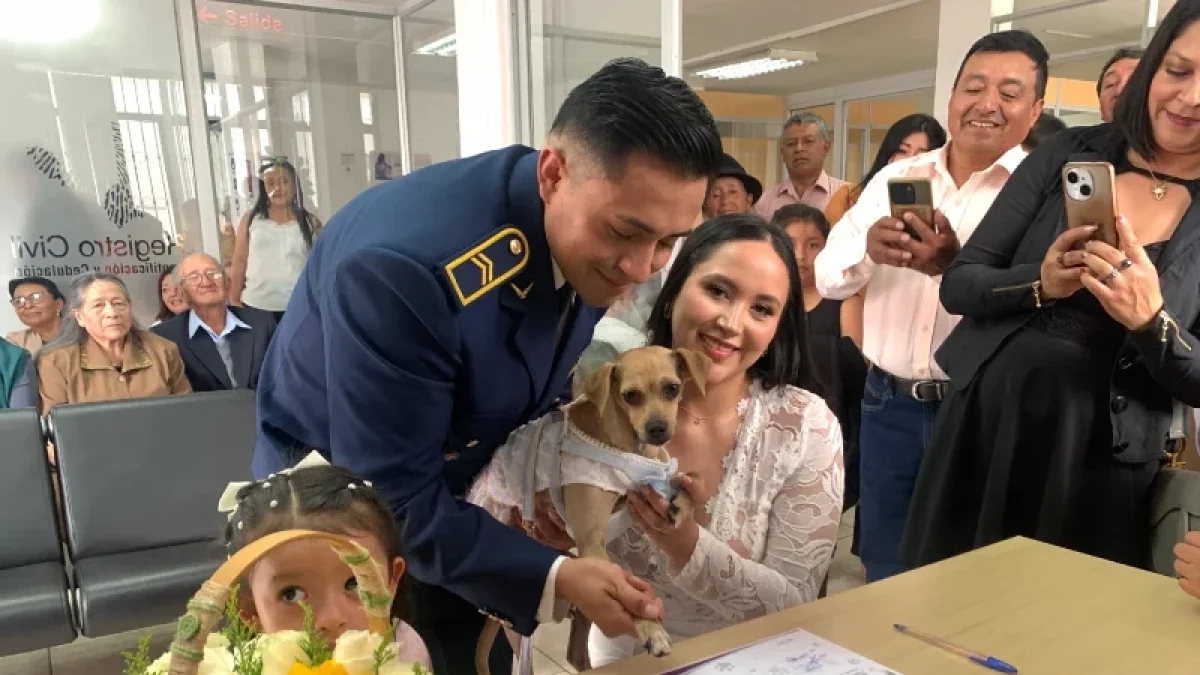 ¿Deseas a tu mascota presente en tu boda? Perros y gatos pueden ser 'testigos' en el Registro Civil