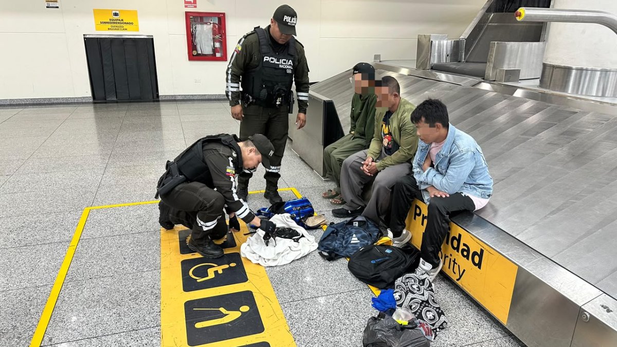 Ecuador: Illegal traffickers of protected iguanas sentenced