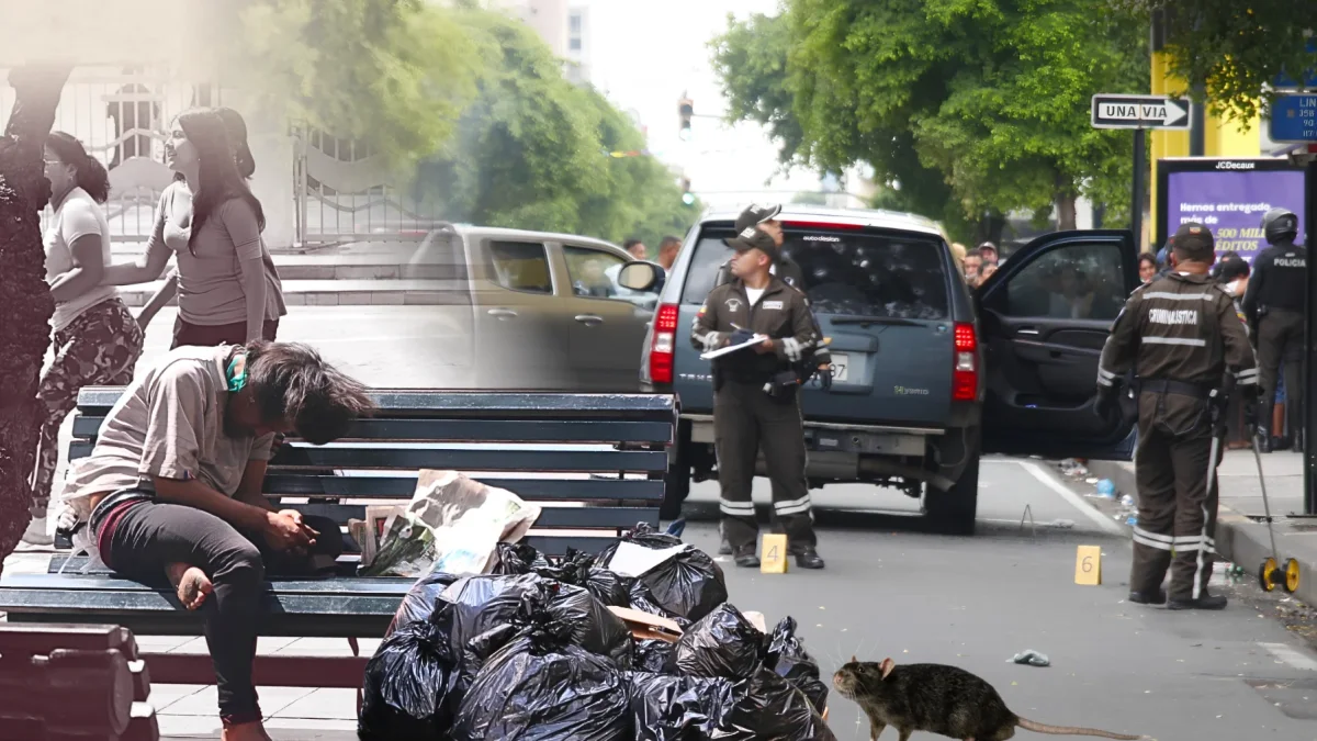“No podemos caminar tranquilos”: ¿cuáles son las siete plagas que 'asfixian' al centro de Guayaquil?
