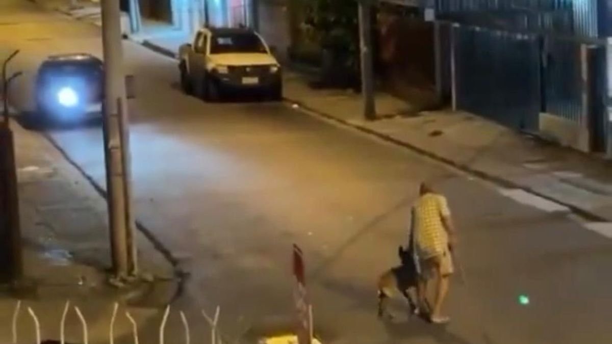 Atropellamiento en Guayaquil: conductor arrolló a un adulto mayor y a su perro