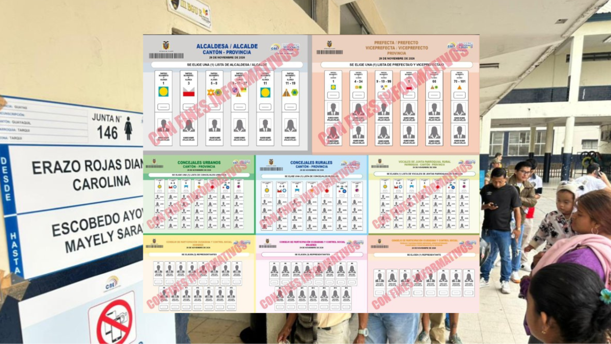 Conozca el diseño de las papeletas aprobadas por el CNE para los comicios de noviembre