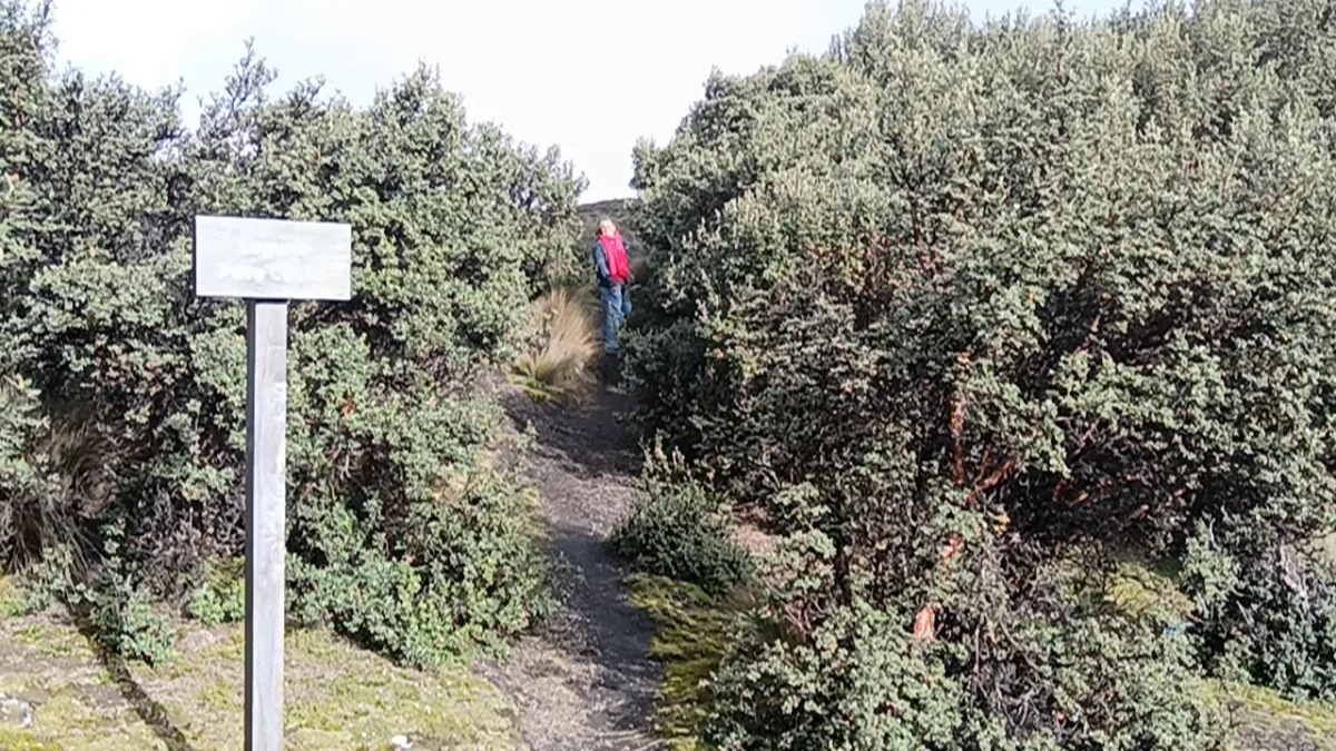 Rescates en montañas de Ecuador: lo que debe saber antes de una excursión