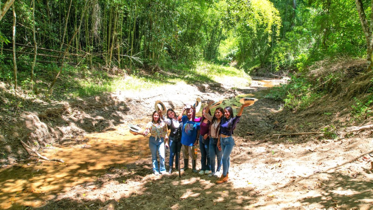 Ecoturismo en Santa Elena: Descubra Sitio Nuevo y su bosque