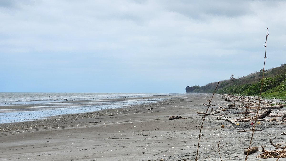 Hallan tres cuerpos baleados en una playa de Rioverde tras presunto secuestro