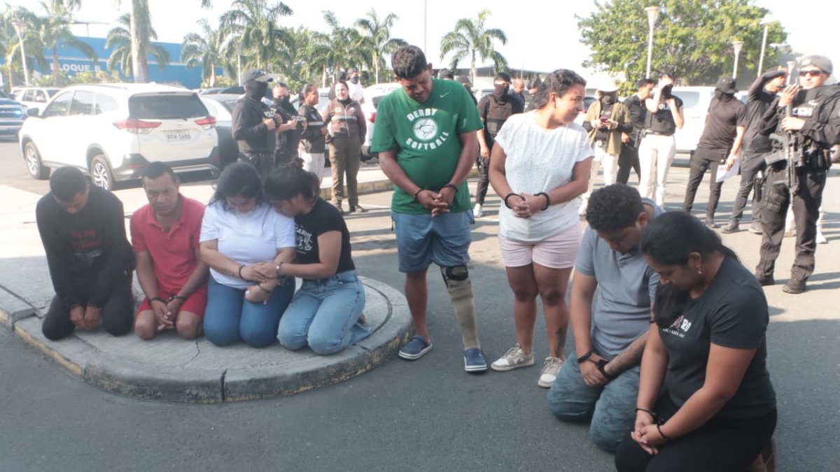 Golpe al narcotráfico en Guayas: incautan un millón de dólares y avioneta en operativos contra Los Lobos y Los Choneros