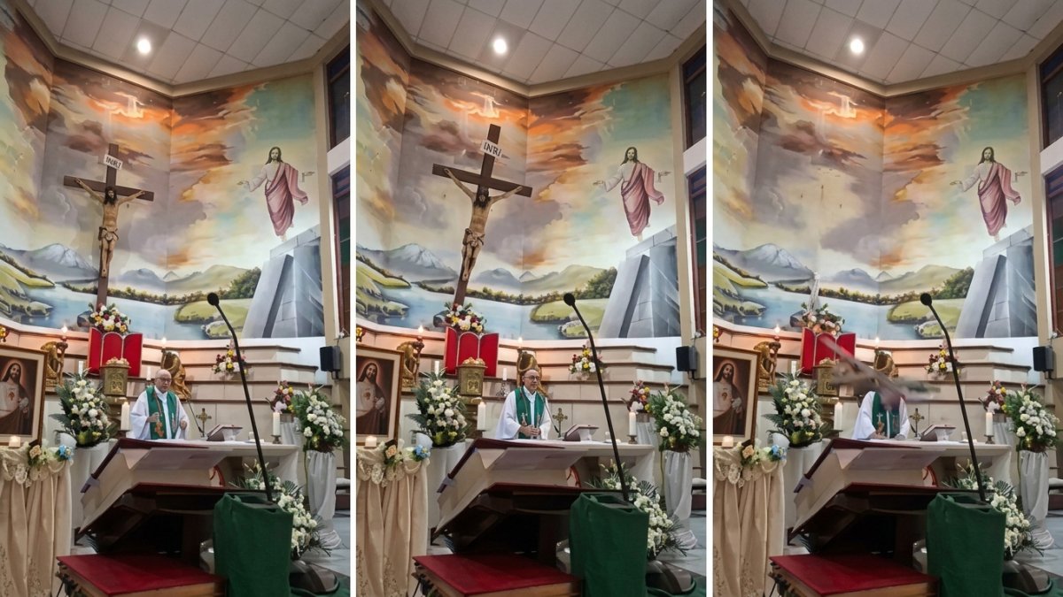 Sacerdote muere tras caerle encima una cruz mientras oficiaba misa en el  sur de Guayaquil