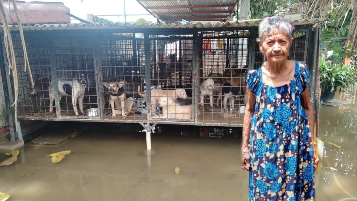 Ecuador: Machala elderly resident receives community aid for animal shelter