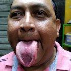 La dimensión de su lengua es de 18 centímetros de largo y de ancho 7 centímetros