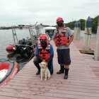 El animal fue salvado por la División Fluvial del Cuerpo de Bomberos de la urbe porteña.