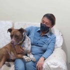 Drago estuvo a punto de morir por una severa anemia aguda. Al parecer nunca fue alimentado y el can comió plástico, trapo y correas.