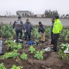 Personal policial fue hasta el terreno para levantar el cuerpo del NN.