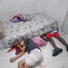 Varios disparos recibieron Cachorro (izquierda) y Miney (derecha).