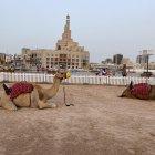 Si le da pereza o se quedó sin dinero para el tour por el desierto, puede tomarse la foto en el centro de Doha con el camello.
