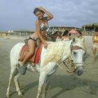 La oferta de paseos en caballos en la playa se venía dando desde hace mucho tiempo, pero nadie había hecho nada para regularla.