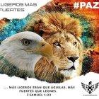 En un gráfico de Los Choneros se ve a los animales que los representan, los cuales están basados en un versículo.