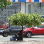 Un pequeño árbol fue el paraguas  natural de un vendedor informal.