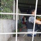 En el sitio del crimen, los agentes recopilaron 12 indicios balísticos.