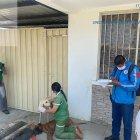 Uno de los perritos rescatados murió.