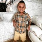 Jorgito se dio a  conocer en las redes sociales por su peculiar palabra ‘chúpalo’. También cuando se supo que realizó varios filmes pornográficos con una productora de cine para adultos,