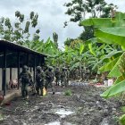 El 21 de enero de 2024, día en el que se descubrieron el cargamento de las 21 toneladas y media de cocaína, fue detenido el cuidador de la finca, en Vinces.