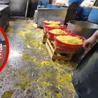 Funcionario de Arcsa colocando el adhesivo de clausura en el establecimiento