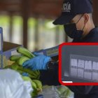 A través de un escáner fue detectada la mercadería ilegal.